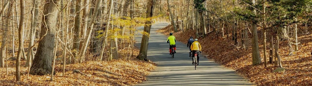 Bike Riding